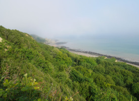 P1020594