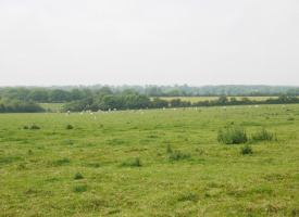 P1020732
