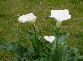 P1020818