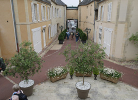 P1020823