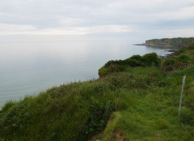 P1020863