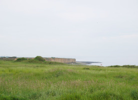 P1020868
