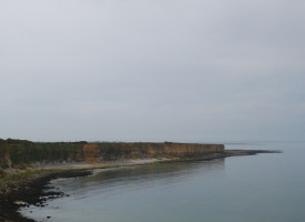 P1020869