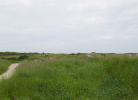 P1020881