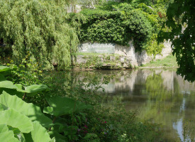 P1020904