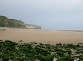 P1020962